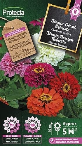 Protecta Zinnia Reuzen Robusta Bloemenzaden - Californische Reuzen