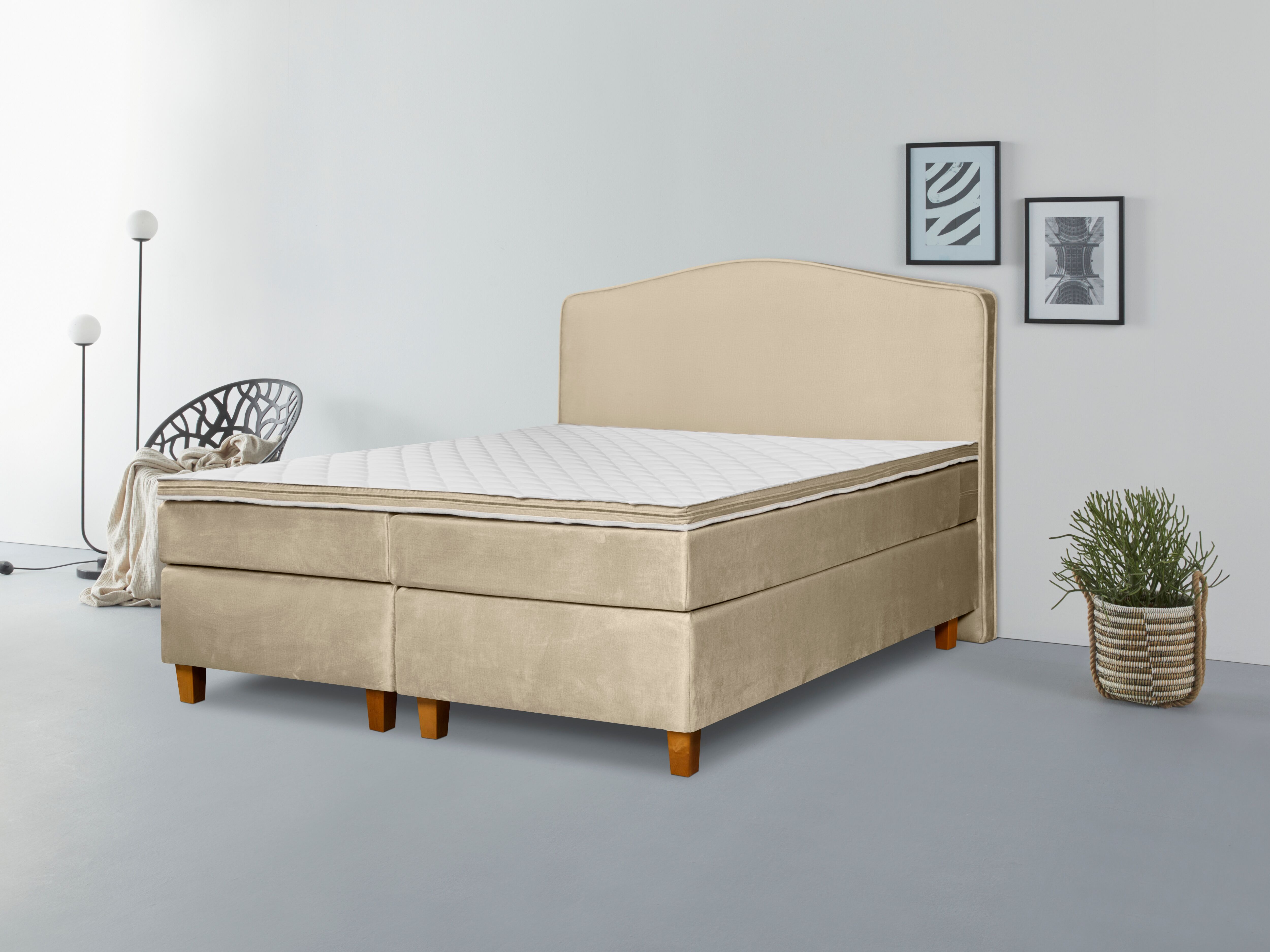 INOSIGN "Jalma" Füsse aus massiver Birke ; Inkl. Topper cream Samtvelours PUR-Schaum-Topper, Liegefläche B/L: 180cm x 200cm, H2/H3, Taschen-Federkernmatratze