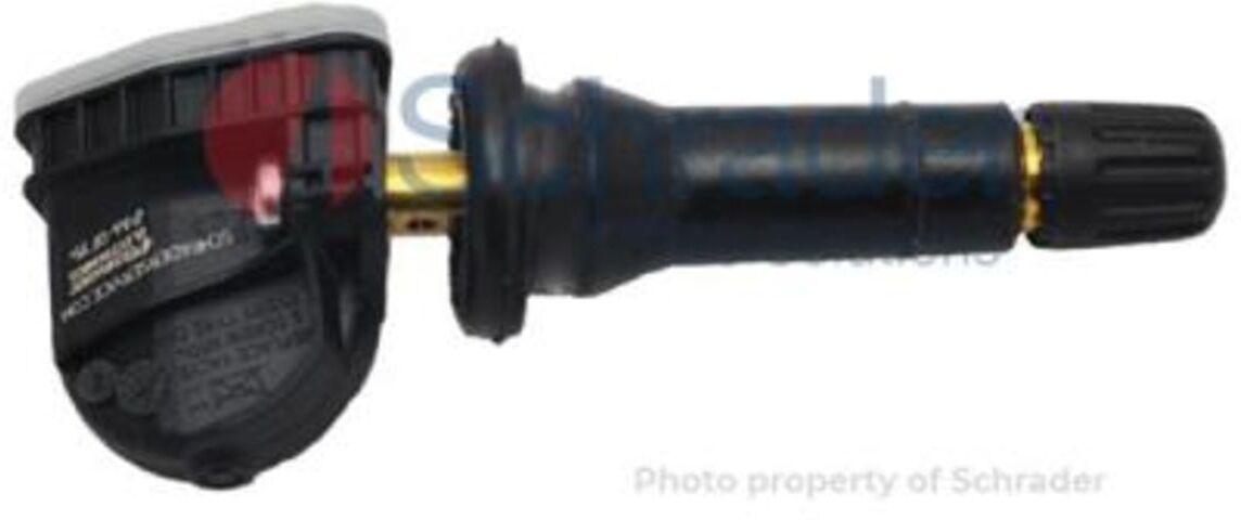 Luftdruckmesser im Rad SCHRADER SCHR3076