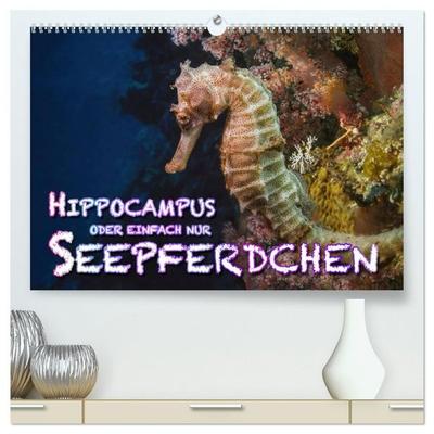 Hippocampus oder einfach nur Seepferdchen (hochwertiger Premium Wandkalender 2027 DIN A2 quer), Kunstdruck in Hochglanz