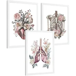 POSTER Set aus 3 Anatomie Florale Vintage Drucke und Wandbilder mit Herz Brustkorb und Lungen Detaillierter Illustrationsstil Größe Weißer Rahmen A4