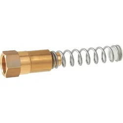 Doppelkugel-Fußventil RVS 8 mm, mit Distanzfeder