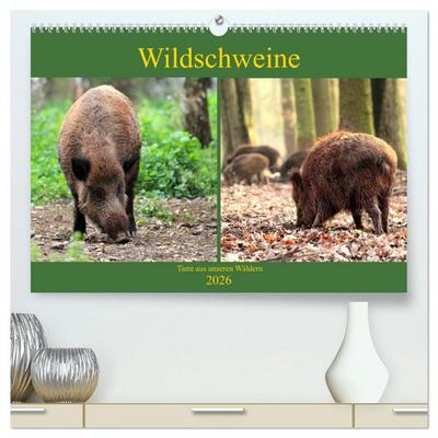 Wildschweine - Tiere aus unseren Wäldern (hochwertiger Premium Wandkalender 2026 DIN A2 quer), Kunstdruck in Hochglanz