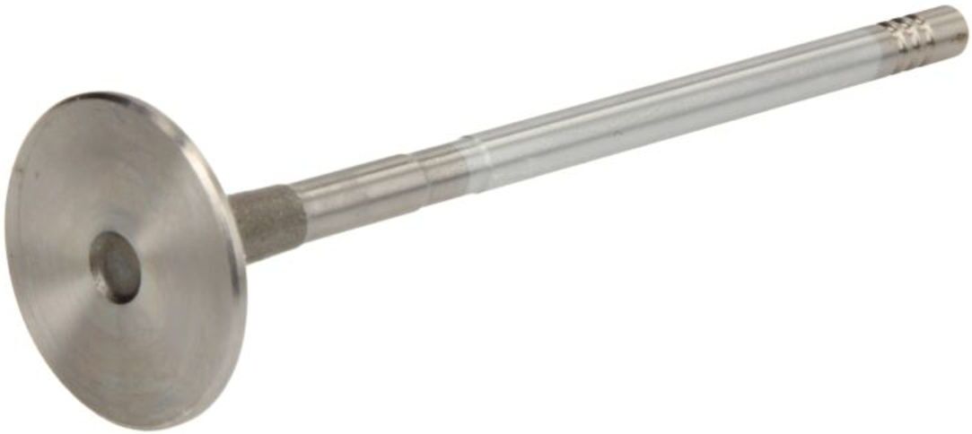 Einlassventil FRECCIA R6893/SCR