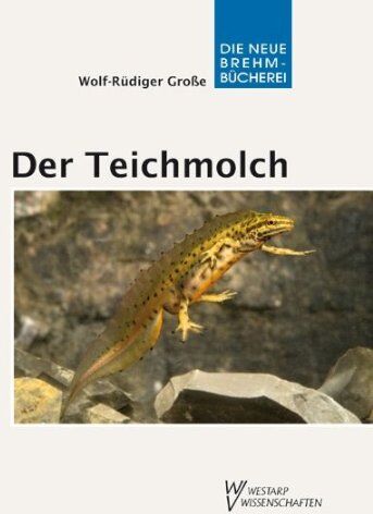Wolf-Rüdiger Große - Der Teichmolch - Lissotriton vulgaris - Preis vom 09.10.2026 07:28:09 h