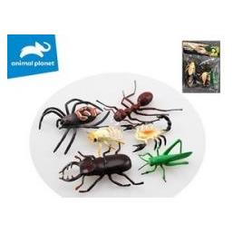 Madej Insekten 3x19x4cm 6 Stück (65613651)