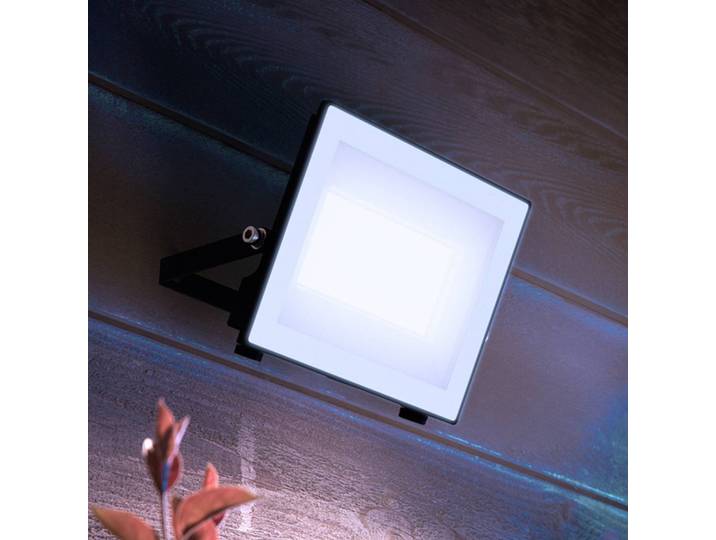 Philips LED-Außenstrahler Lois UE flood, 24 W, 5.000 K, IP65 flood, schwarz, Aluminium, LED Außenleuchte