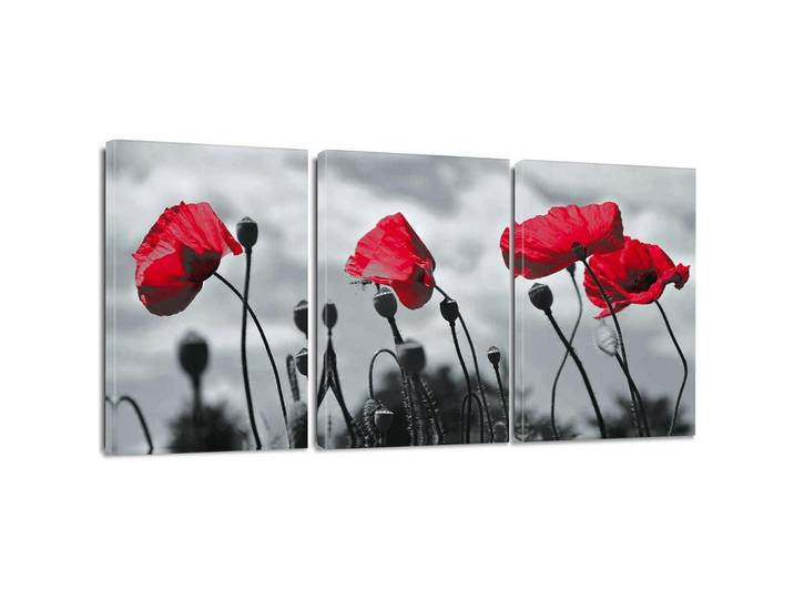 Leinwandbild 3-teiliges Set Rote Blume 30 x 40 cm, 40x0.5 cm, Bilder & Rahmen, Bilder, Leinwandbilder