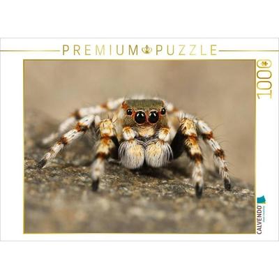 CALVENDO Puzzle Ein Motiv aus dem Kalender Faszination Spinnen | 1000 Teile Lege-Größe 64x48cm Foto-Puzzle für glückliche Stunden, Game von , Calvendo