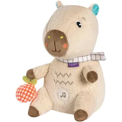 Fehn, Schlaftherapie, Einschlafhilfe Capybara
