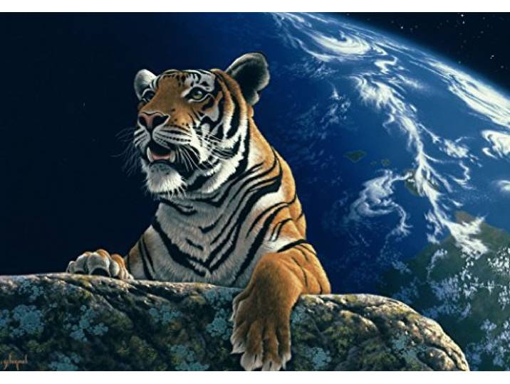 Grafika Puzzel 1500 stukjes - Schim Schimmel - Only One Home