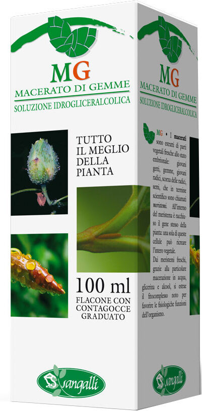 Sangalli Olivo 100ml Mg