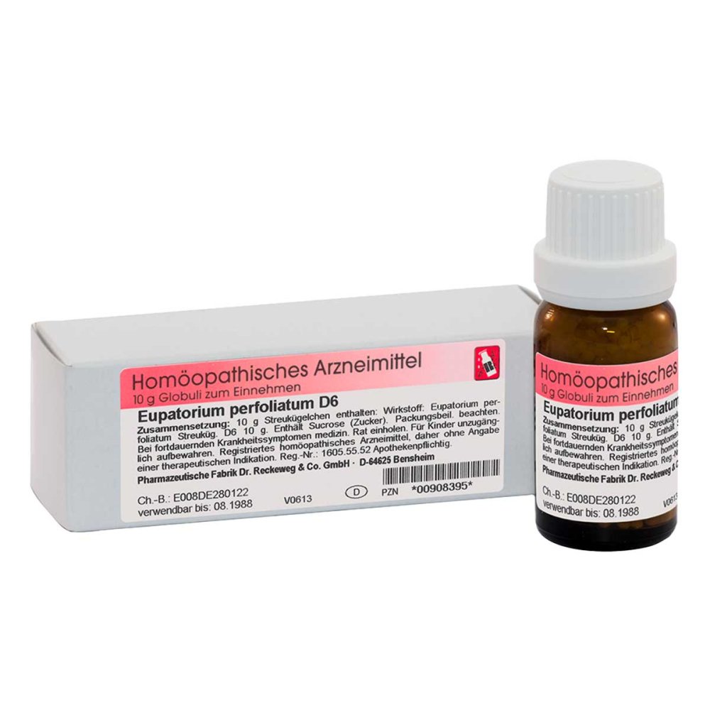 Dr.RECKEWEG & Co. GmbH Eupatorium Perfoliatum D6 Globuli 00908395