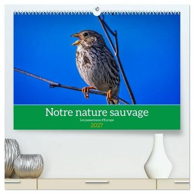 Notre nature sauvage, les passereaux d'Europe (Calendrier mural haut de gamme 2027 DIN A2 vertical), CALVENDO calendrier mensuel