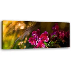 WANDBILD zen orchidee blumen