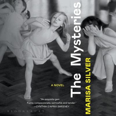 The Mysteries - Marisa Silver, Audio, 9781635577457