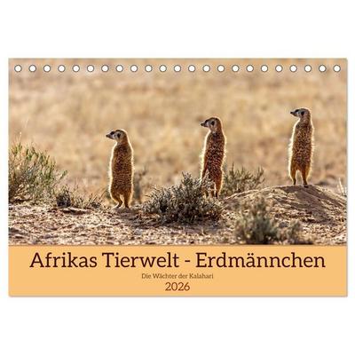 Afrikas Tierwelt - Erdmännchen (Tischkalender 2026 DIN A5 quer), CALVENDO Monatskalender
