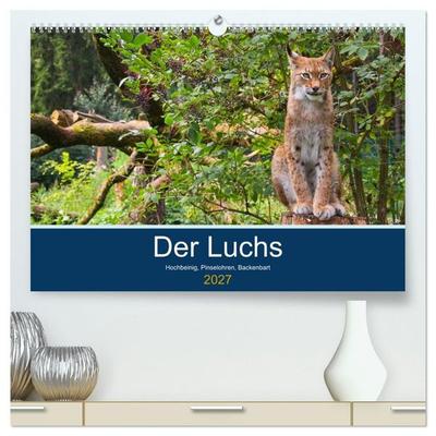 Der Luchs - Hochbeinig, Pinselohren, Backenbart (hochwertiger Premium Wandkalender 2027 DIN A2 quer), Kunstdruck in Hochglanz