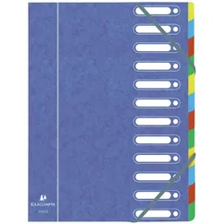 Exacompta, Mappe, Ordnungsmappe (A4, 6x)