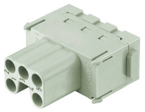 HARTING Buchsenmodul 09140052716 Inhalt: 1 St. Buchsenmodul