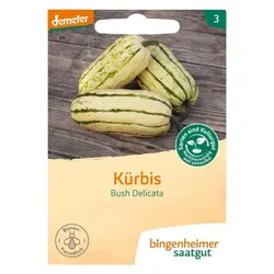 Bingenheimer Saatgut Kürbis Bush Delicata demeter