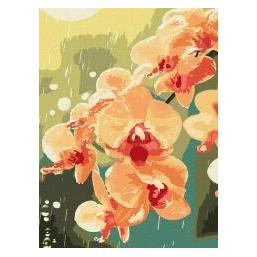 Ideyka Malen nach Zahlen - Orchidee in Tropfenform 30x40 (66128811)