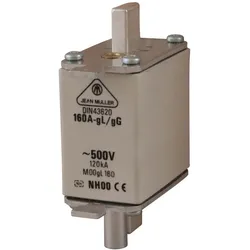Müller NH-Sicherungseinsatz M00gL125/K