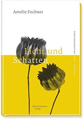 Amelie Fechner - Licht und Schatten: Anlass- und Alltagsgedichte - Preis vom 11.10.2026 03:10:56 h