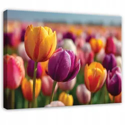 LEINWANDBILD Blumen Tulpen Bunt 60x40 cm