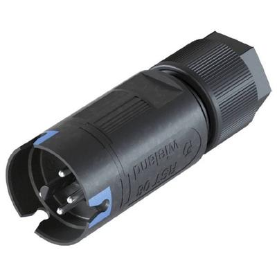 Wieland Electric 41.042.3043.9 Steckverbinder