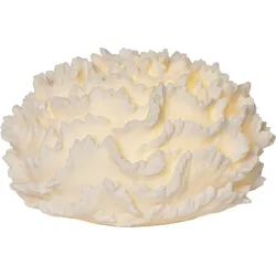 STAR TRADING LED-Dekoleuchte SANDY CORAL - B/H/T ca. 28.50x16.50x28.50