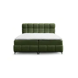 BOXBETT Sophie In Rolf
