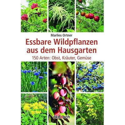 Essbare Wildpflanzen aus dem Hausgarten, Gebundene Ausgabe von Marlies Ortner, Ökobuch Verlag, 978-3-936896-59-6