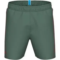 ARENA Herren Badeshorts FUNDAMENTALS LOGO BOXER, Größe S in Grün 641
