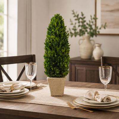Porch & Den "Evergreen 20"" Inch Handcrafted Preserved Cone-Shaped Boxwood Leaf Topiary in Terracotta Pot"