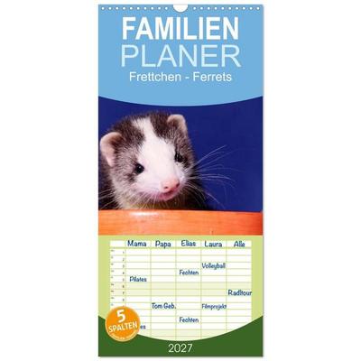 Familienplaner 2027 - Frettchen - Ferrets mit 5 Spalten (Wandkalender, 21 x 45 cm) CALVENDO