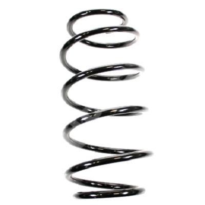 SPIDAN Fahrwerksfeder 85760 Vorderachse für Ford