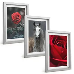 BILDER SET 3er Set - 20x30 cm Silberner Rahmen - Rote Rosen, Pferdegrau, Welt