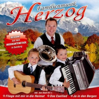 Ja in den Bergen - Familienmusik Herzog, CD, 9003549528838