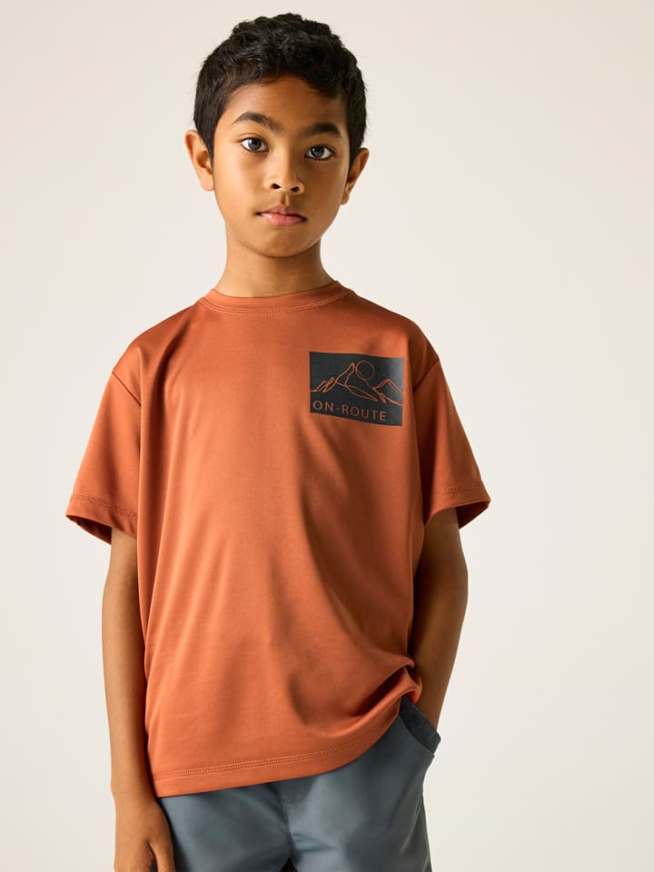 Regatta Funktionsshirt "Alvarado" in Orange - 152