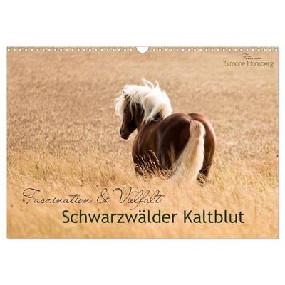 Faszination und Vielfalt - Schwarzwälder Kaltblut (Wandkalender 2027 DIN A3 quer), CALVENDO Monatskalender