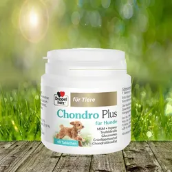 Doppelherz Chondro Plus 60 Tabl. - natürliche Unterstützung für aktive Hunde