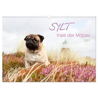 Sylt - Insel der Möpse (Wandkalender 2027 DIN A3 quer), CALVENDO Monatskalender