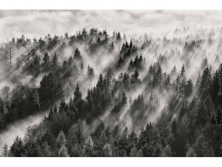 Fototapete PAPERMOON Photo-Art DAVORIN BALOH, SUNDANCE NR1 , bunt, B:4m L:2,6m, Vlies, Tapeten, Fototapete