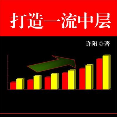 打造一流中层 - 许阳, Audio, 4069828015296