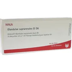 GLANDULAE SUPRARENALES GL D 6 Ampullen 10X1 ml
