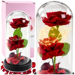 Ewige 2 Rosen in einer Kuppel mit LED-Beleuchtung und roten Rosenblättern 21x11cm
