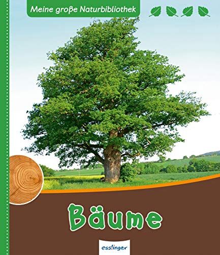 Svenja Ernsten - Bäume (Meine große Naturbibliothek) - Preis vom 10.10.2026 11:48:34 h