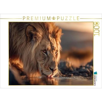 CALVENDO Puzzle Der Löwe senkt den Kopf, um frisches Wasser zu trinken | 1000 Teile Lege-Größe 64x48cm Foto-Puzzle für glückliche Stunden