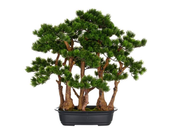 Kunstpflanze Bonsai Kiefer 60 x 60 x 30cm